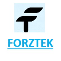 FORZTEK Solutions logo - Similar company to Springsoft Infotech Private Limited