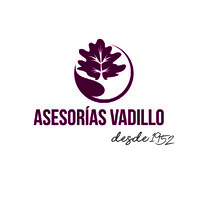 Asesorías Vadillo logo - Similar company to Lider It Solutions