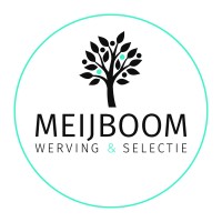 Meijboom Werving & Selectie logo - Similar company to Keylight Wireless Event Lighting