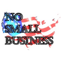 No Small Business logo - Similar company to Diversity-N-U