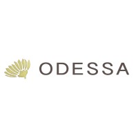 ODESSA logo - Similar company to Askus Building Systems