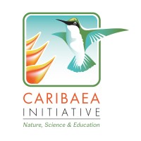 Caribaea Initiative logo - Similar company to Institut Technique Tropical (It²)