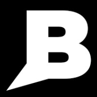 BRIDDER logo - Similar company to Fan Apps - We Help Sports Organizations Collect Valuable Fan Data And Monetize It Effectively