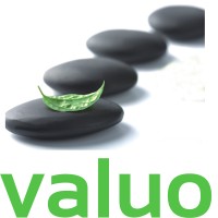 Valuo Desarrollo logo - Similar company to Valuo
