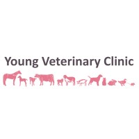 Young Vet Clinic logo - Similar company to Vet Pituka Veterinary Clinic