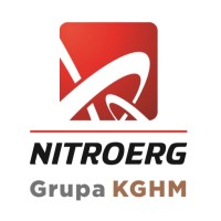 NITROERG S.A. logo - Similar company to Omc Envag Sp. Z O.O.