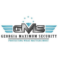 Maximum Security Solutions, Llc