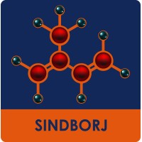 SINDBORJ - Sindicato das Indústrias de Artefatos de Borracha do Estado do Rio de Janeiro logo - Similar company to Sindilojas Bh & Região