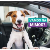 Mimos Vet - Clínica Veterinária logo - Similar company to Habistat