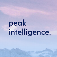 peak intelligence. logo - Similar company to Mosign