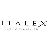 Italex logo - Similar company to Italex Consulting
