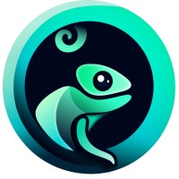 Qameleon logo - Similar company to Creative Cardio