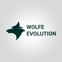 Wolfe Evolution logo - Similar company to Turner Process Solutions