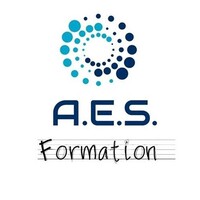 AES Formation logo - Similar company to Audit Expertise & Solutions