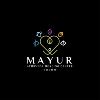 Mayur Tulum logo - Similar company to Asociación De Recursos Humanos De Tulum
