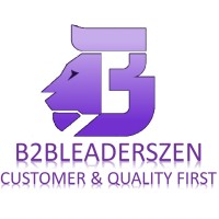 B2BLeadersZen logo - Similar company to Vincit Learning Solutions