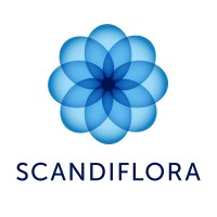 Scandiflora logo - Similar company to Bredefleur