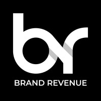 Brand Revenue logo - Similar company to Brand ‘N’ Digital  Private Limited