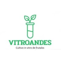 VITROANDES SPA logo - Similar company to Kuantum