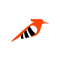 Hoopoe Staff Augmentation logo - Similar company to Staff Tech, Inc, A Certified Small Dvbe