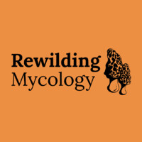 Rewilding Mycology logo - Similar company to Studio Remco Van Bladel