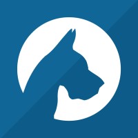 Appearance Hound