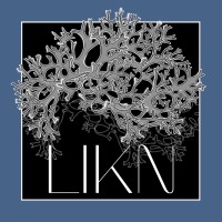 LIKN logo - Similar company to Eco-Si