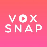 VoxSnap logo - Similar company to Vyu Labs