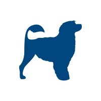 WATERDOG logo - Similar company to Coreangels Lisbon