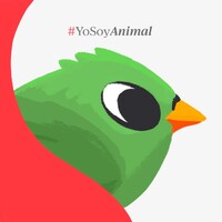 Animal Político logo - Similar company to Letras Libres