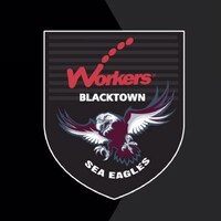 Blacktown Workers Sea Eagles logo - Similar company to Technofast Industries