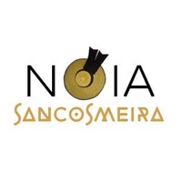 Noia Sancosmeira logo - Similar company to Concello De Outes