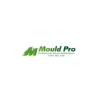 Mould Pro Australia logo - Similar company to Lrm Global