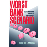 Worst Bank Scenario logo - Similar company to Fibremax®