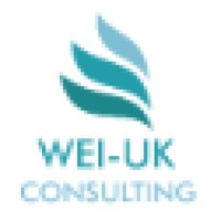 WEI-UK Consulting logo - Similar company to Detach Tech