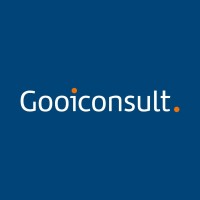 Gooiconsult logo - Similar company to Teamifyed