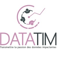 Datatim logo - Similar company to Data Team