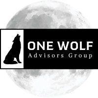 One Wolf Advisors Group logo - Similar company to Askankit Consulting
