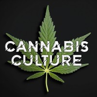 Cannabis Culture logo - Similar company to Right Linq