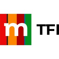 mTFI S.A. logo - Similar company to Finture