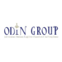 Odin Group logo - Similar company to Ozoos