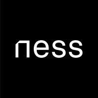 Ness Solution logo - Similar company to Madiff