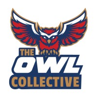 The Owl Collective logo - Similar company to Predictive Technology Group Inc