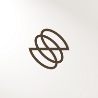 SWAN Payment Technologies logo - Similar company to Black Square Group