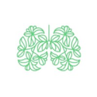 Dino 626 INC logo - Similar company to Liquid Shape