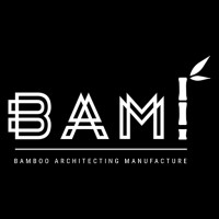 BAM! logo - Similar company to Gravity Software
