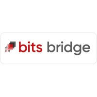 Bits Bridge logo - Similar company to Nirankari Electroplaters