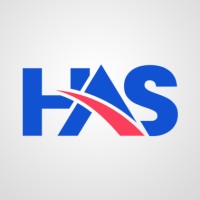 Has Software Development & It Services