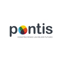 Pontis Mx logo - Similar company to Vicom Ecommerce