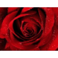 Love Nurture logo - Similar company to Ocsl Group